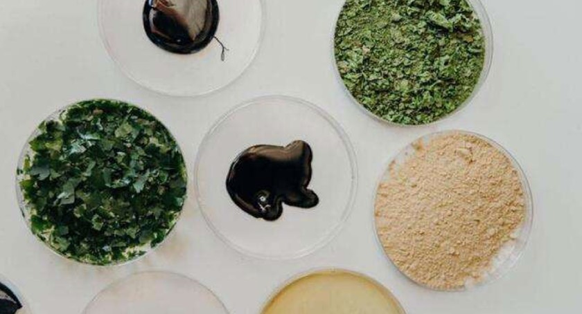 ACTEGA & Living Ink Technologies Develop Carbon-Negative, Algae-Based Pigment